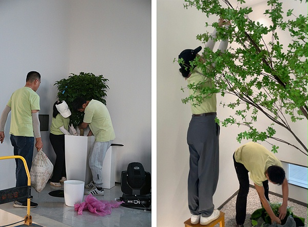 天香花苑完成海盐捷沃特汽车零部件公司植物租赁项目