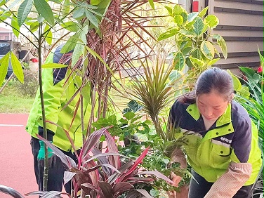 为什么选择天香花苑的绿植租摆服务