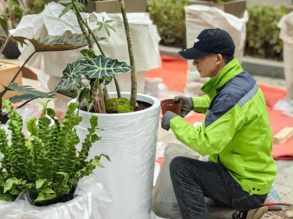 天香花苑