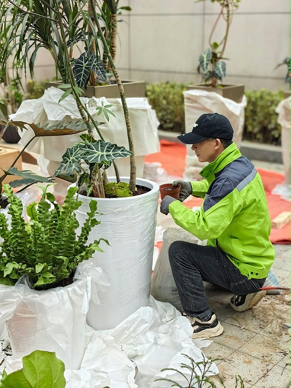 天香花苑