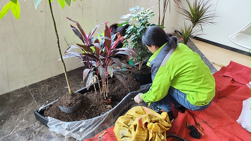 天香花苑完成浙江禾城农村商业银行办公空间植物租赁项目